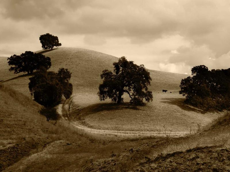 sudoku weekly challenge screenshot 6